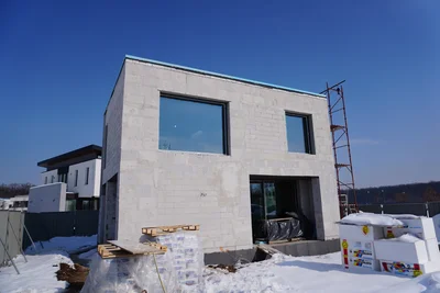 Dumbrava Vlasiei P49